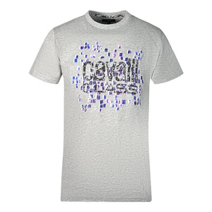 Cavalli Class Mens Qxt61U Jd060 04965 T Shirt Grey - Style Centre Wholesale